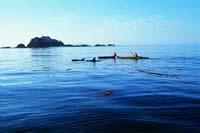 Photograph by George Apostolldis, supplied by Tourism Tasmania