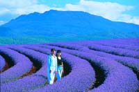 Photograph by Geoff Murray, supplied by Tourism Tasmania